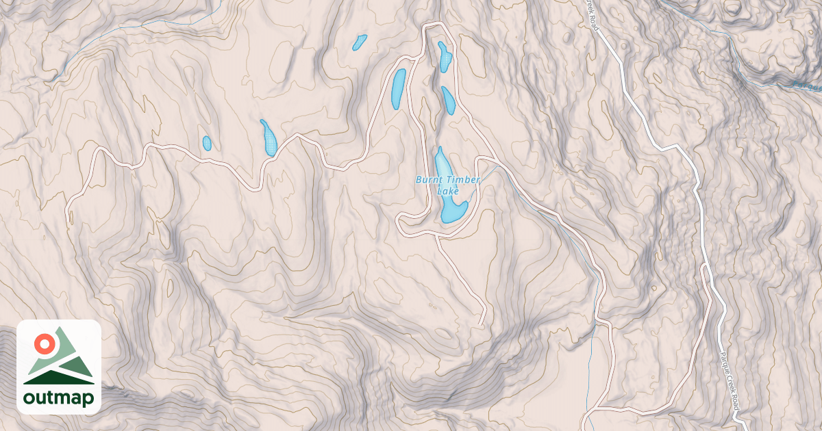 Map of BURNT TIMBER LAKE