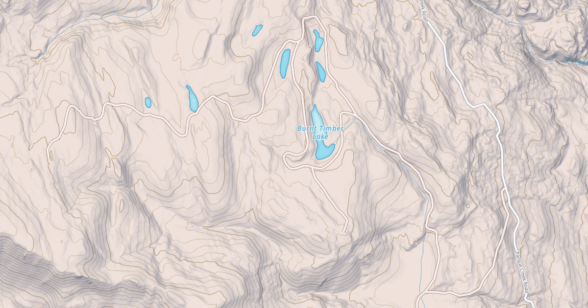 Map preview of BURNT TIMBER LAKE