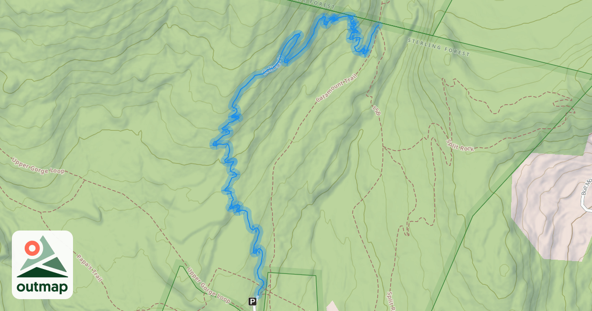 Map of Callagy's
