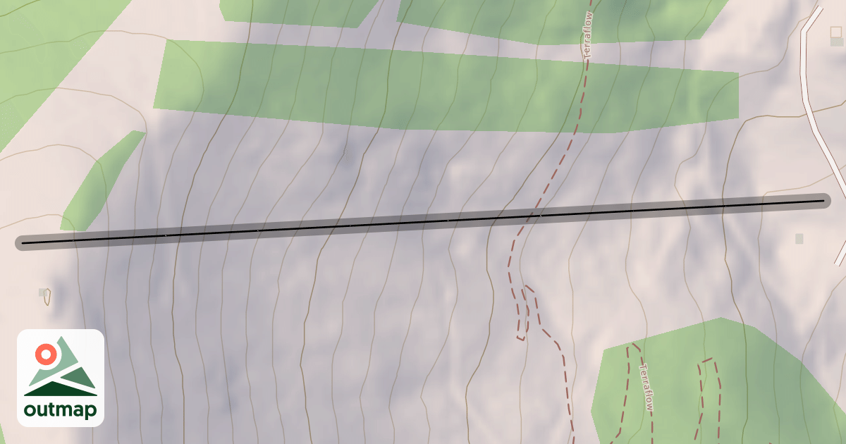 Map of The Face