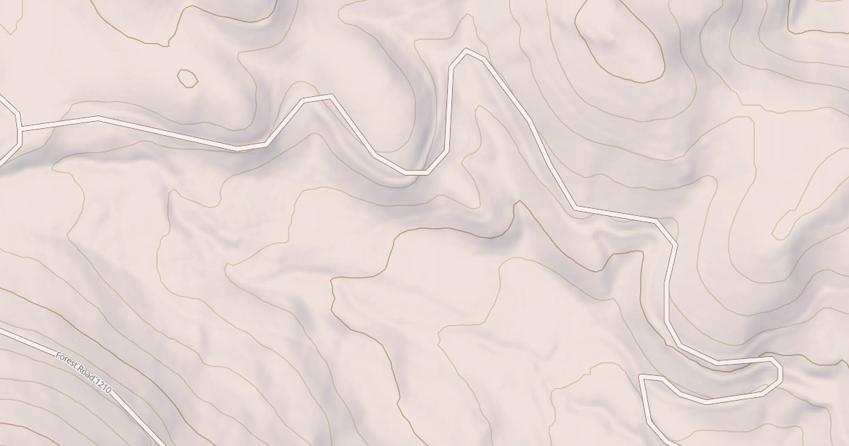 Map preview of USFS National Forest System Roads {45FCD7C3-4F7D-475D-9128-2C2DAC08F495}