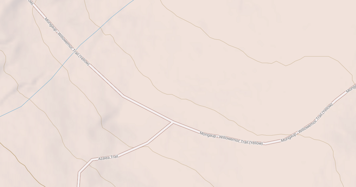 Map preview of Mongaup Willowemoc Trail