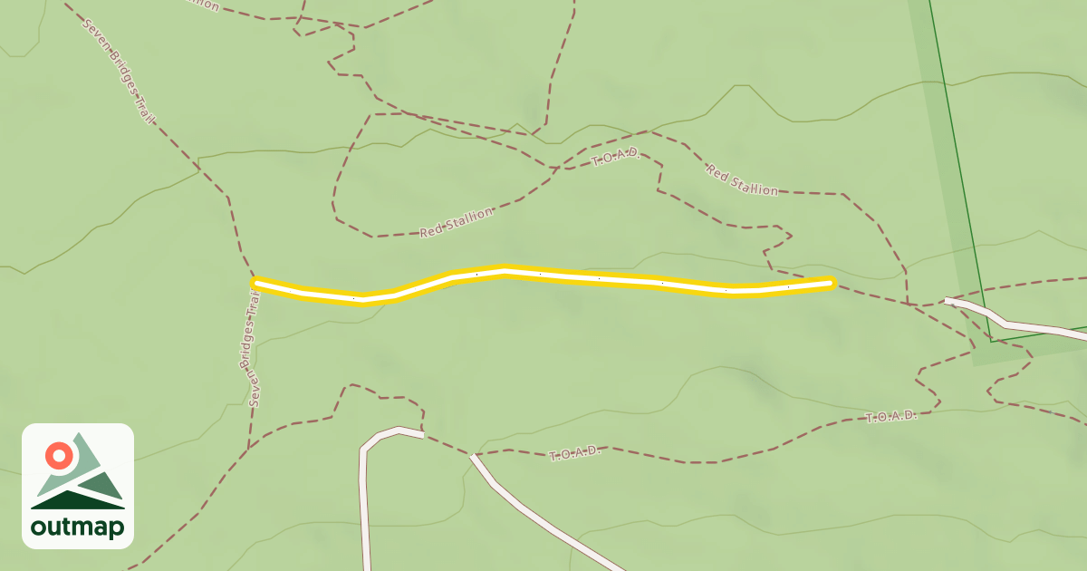 Map of Fifty
