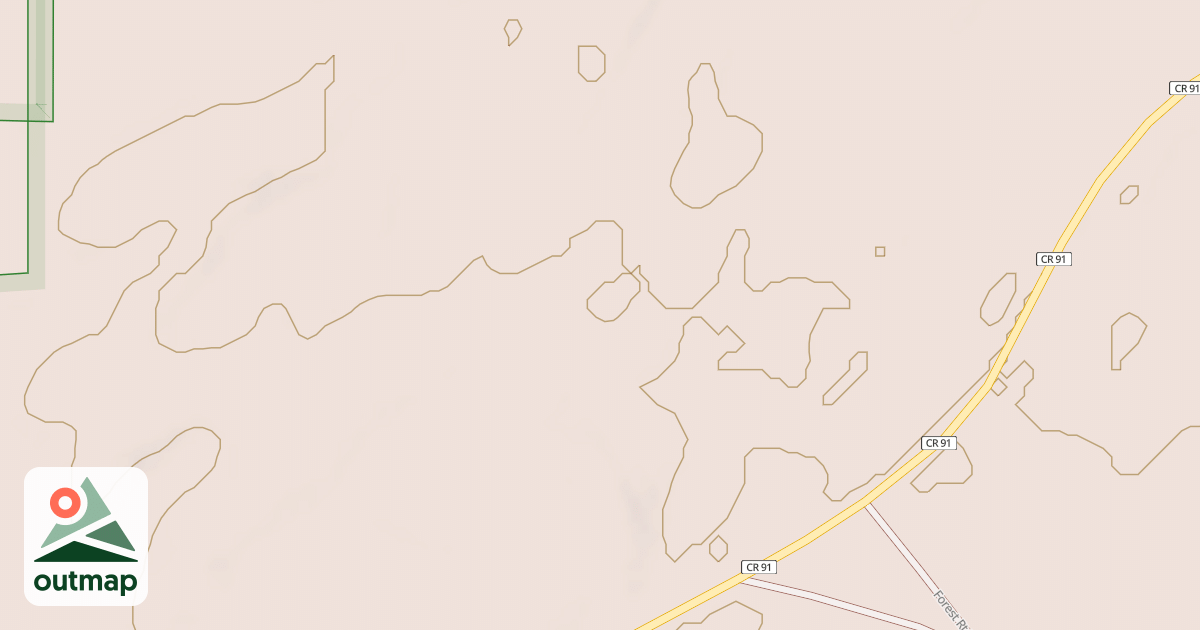 Map of CASS CO. 91 SPUR 2004