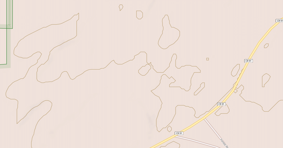Map preview of CASS CO. 91 SPUR 2004
