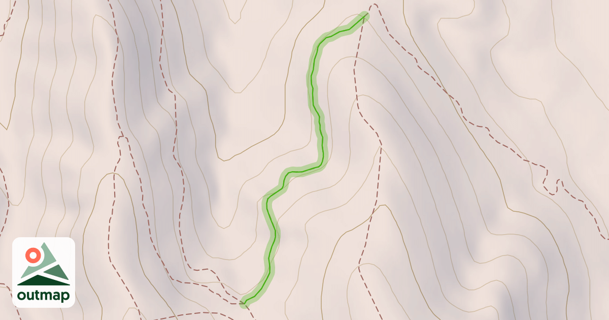 Map of #85 Barn Owl