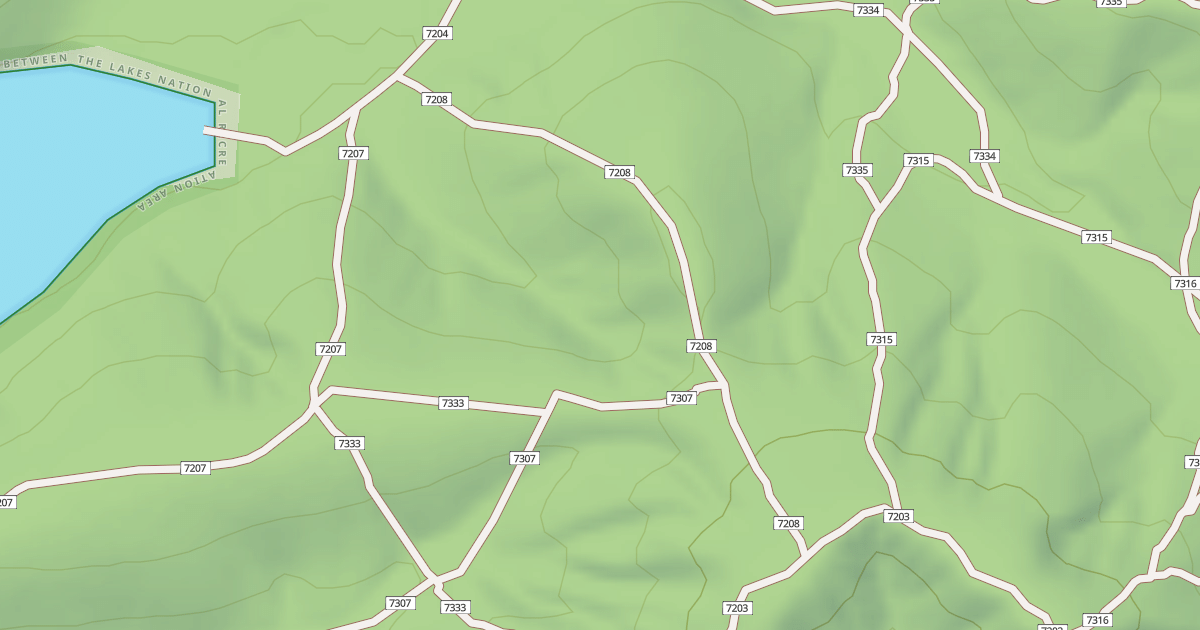 Map preview of USFS Motor Vehicle Use Map Trails 19409