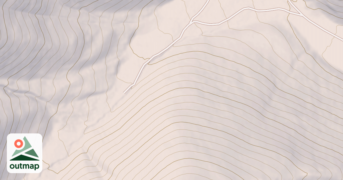 Map of TYLER GUZZLER