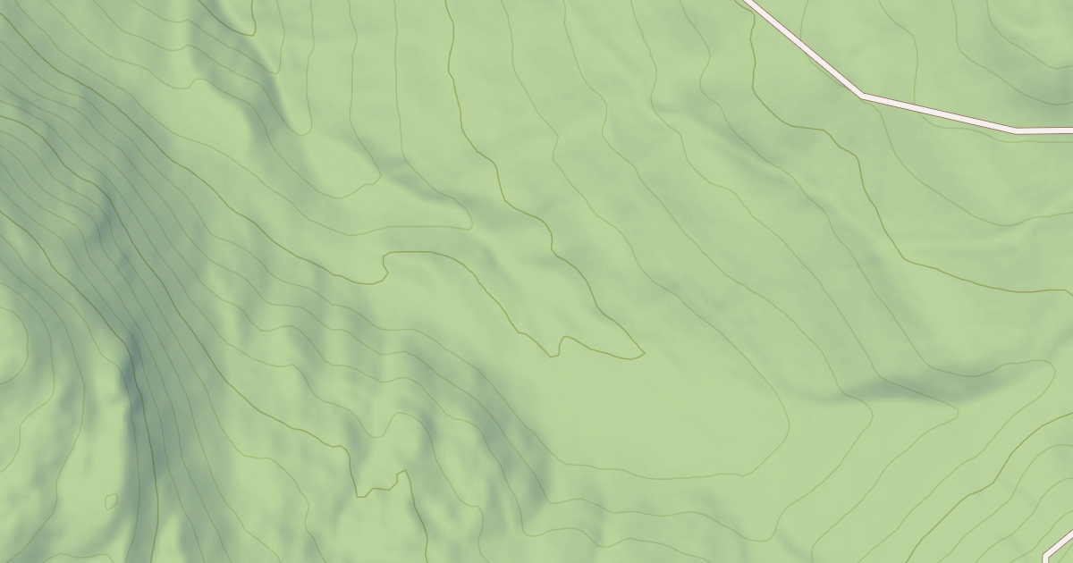 Map preview of USFS Motor Vehicle Use Map Roads {3955EEB4-6A12-49FF-B0AC-BB9D60D2CE41}