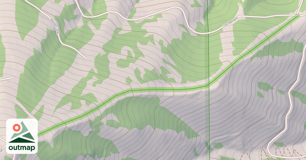 Map of Lower College