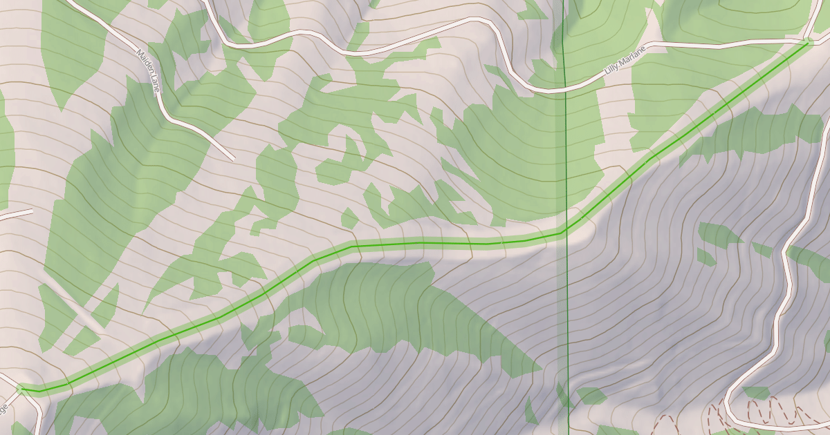 Map preview of Lower College