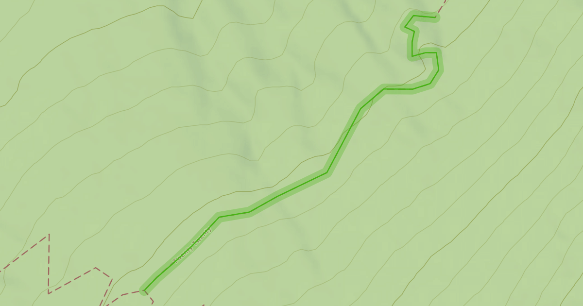 Map preview of Twenty Twenty