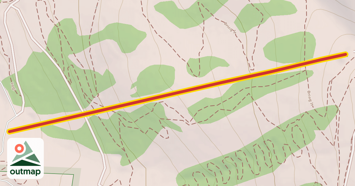 Map of Shoshone