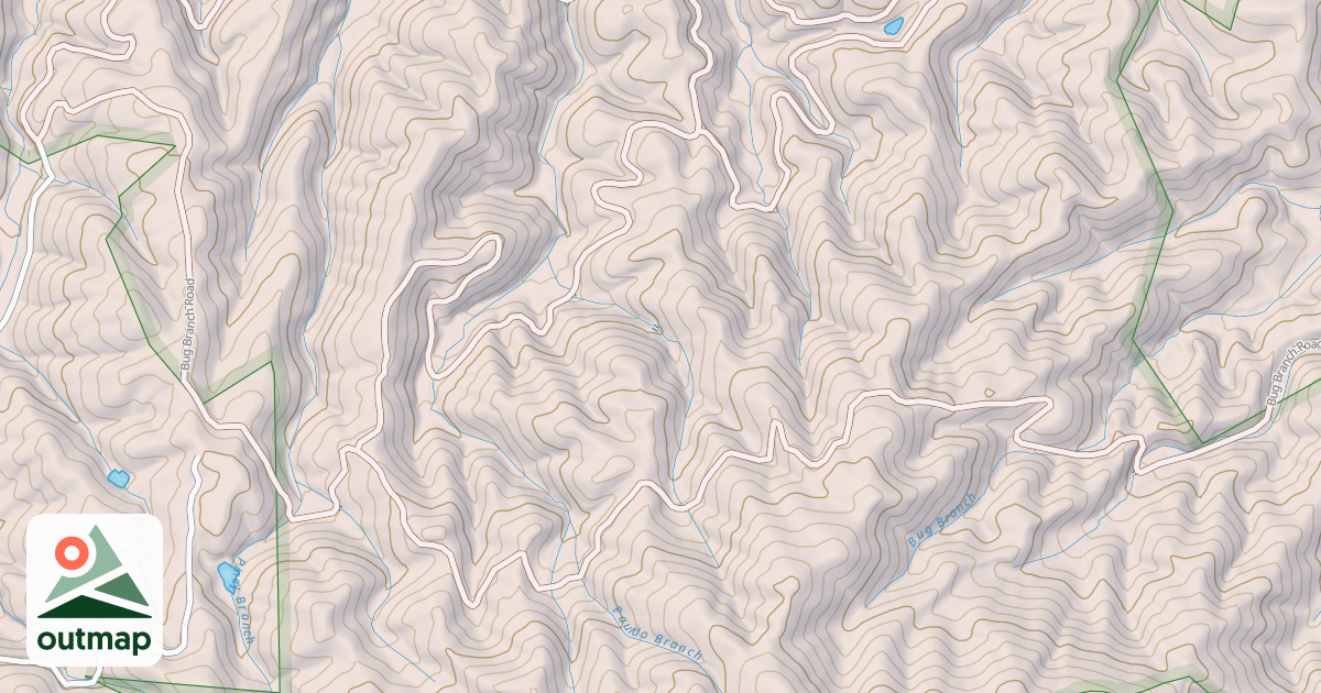 Map of BUG BRANCH