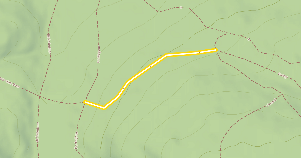 Map preview of Baldy