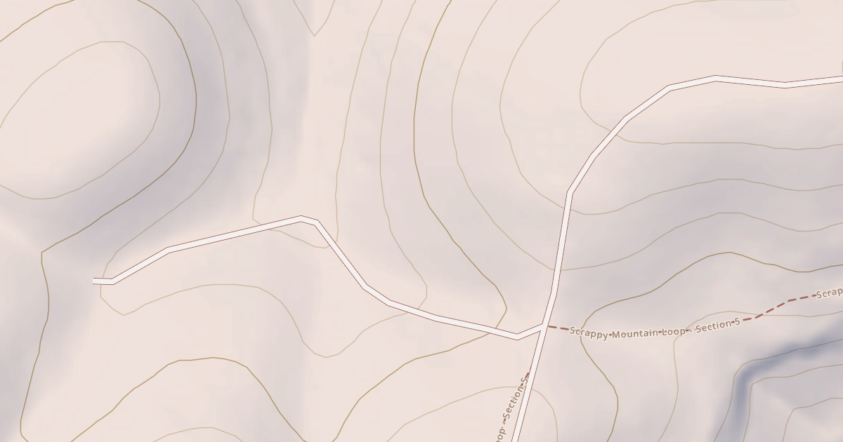 Map preview of USFS National Forest System Roads {348F2E67-4A8B-457C-9624-498FDCEE4089}
