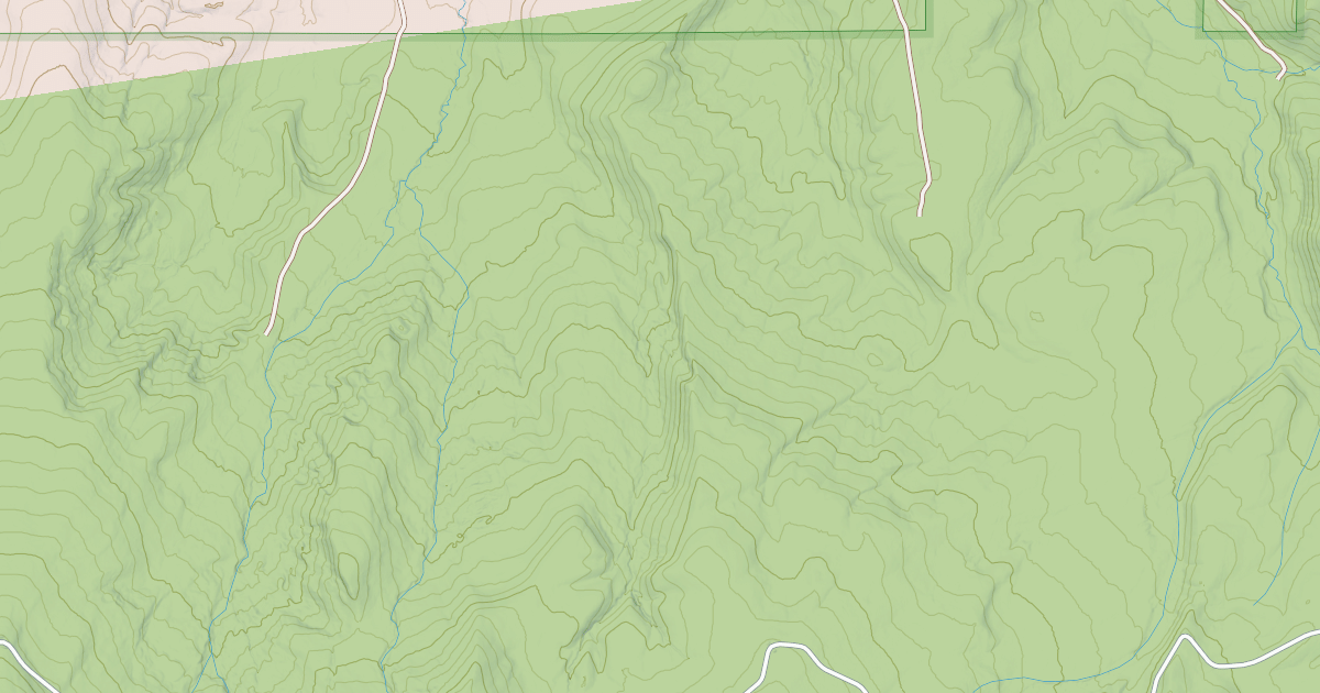 Map preview of CEDAR PALM