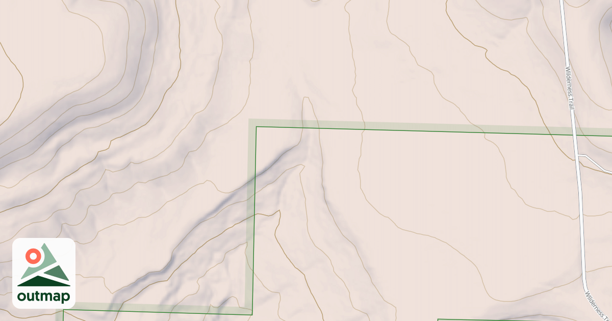 Map of USFS National Forest System Roads {A48788B9-D55D-44A9-A021-A9641A0A489C}