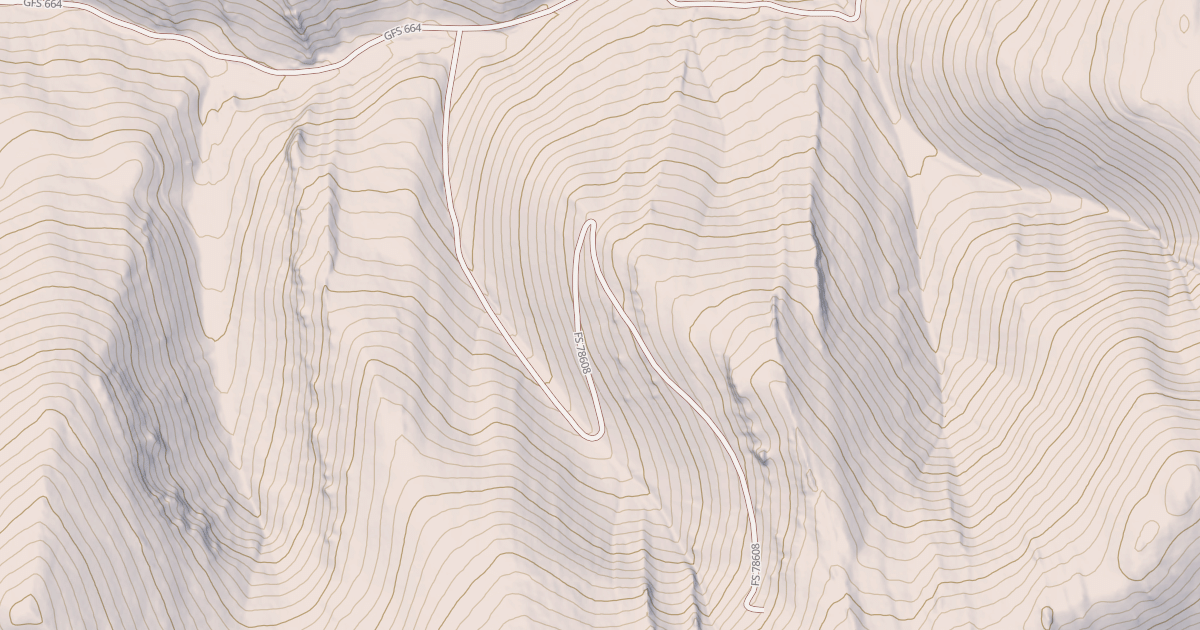 Map preview of USFS National Forest System Roads {83783069-A6FB-40FB-B6A7-26A14BC9B319}
