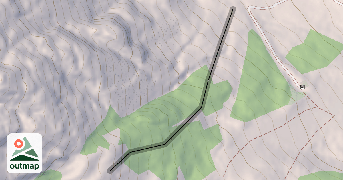Map of What's That Trees