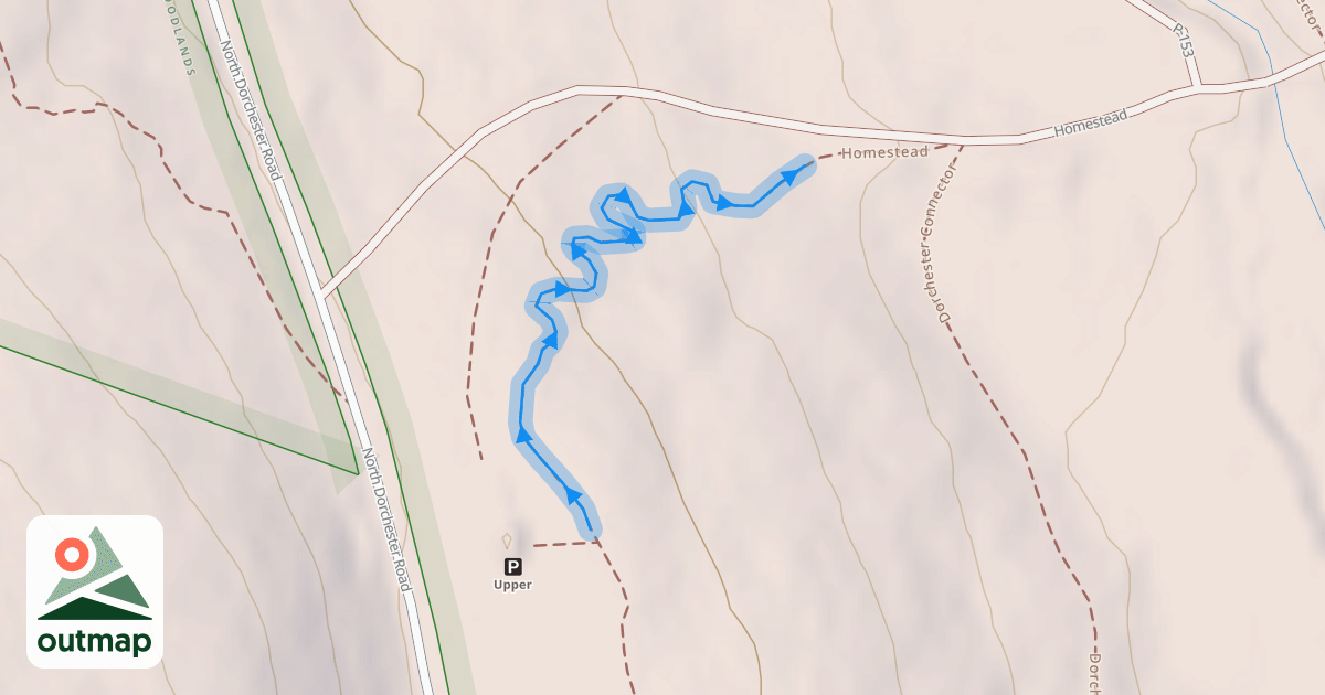 Map of Squiggles