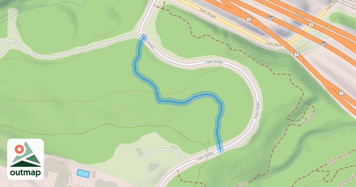Map of Mickey Mouse