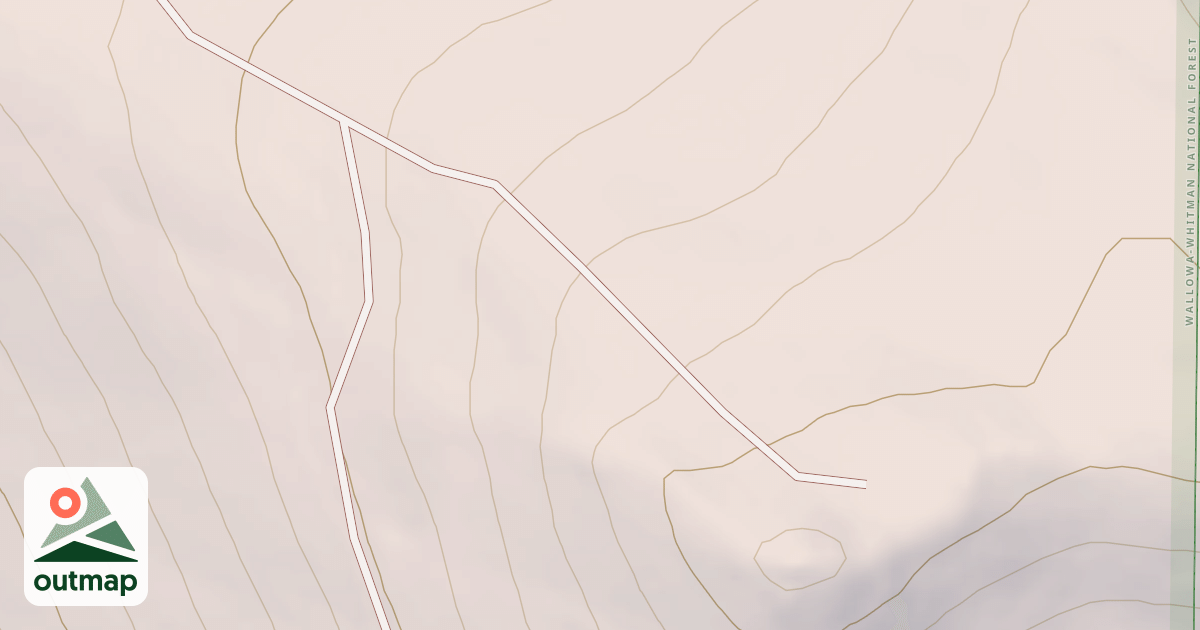 Map of USFS National Forest System Roads {169E14BC-CFE2-4E67-837B-4303B19FD6FD}