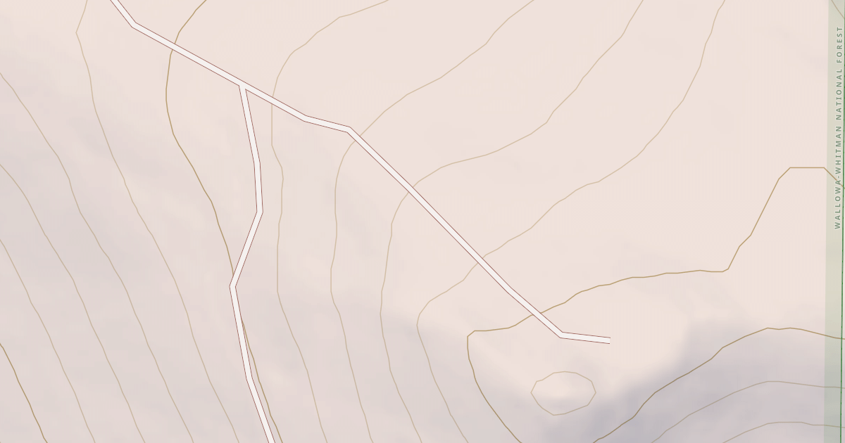 Map preview of USFS National Forest System Roads {169E14BC-CFE2-4E67-837B-4303B19FD6FD}