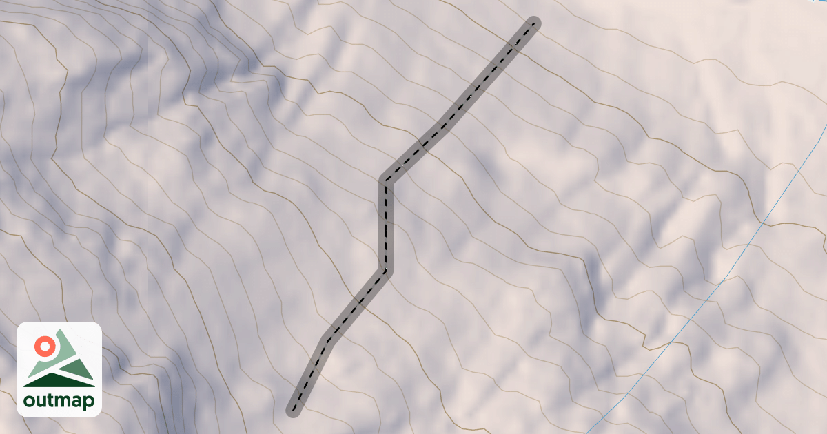 Map of Heaven Trees