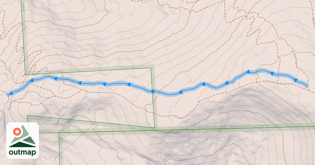 Map of Surf's Up