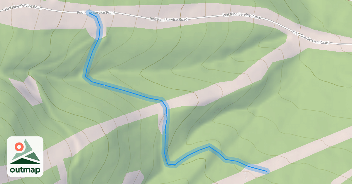 Map of Chicane Bypass