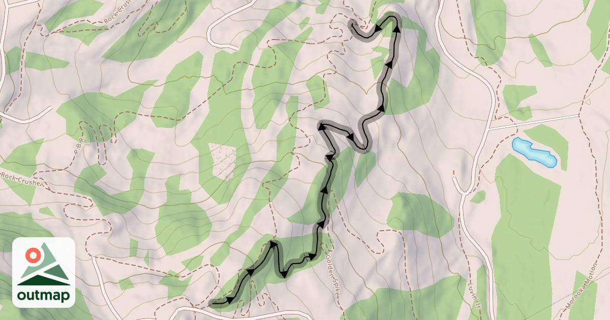 Map of Slingshot Wookie