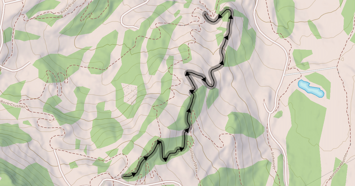 Map preview of Slingshot Wookie