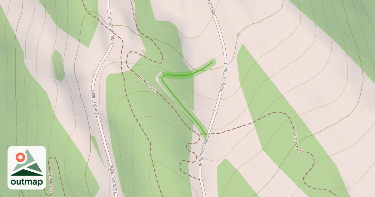 Map of Tree Fort Access