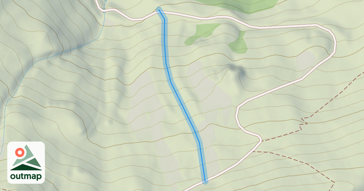 Map of Rhododendrons