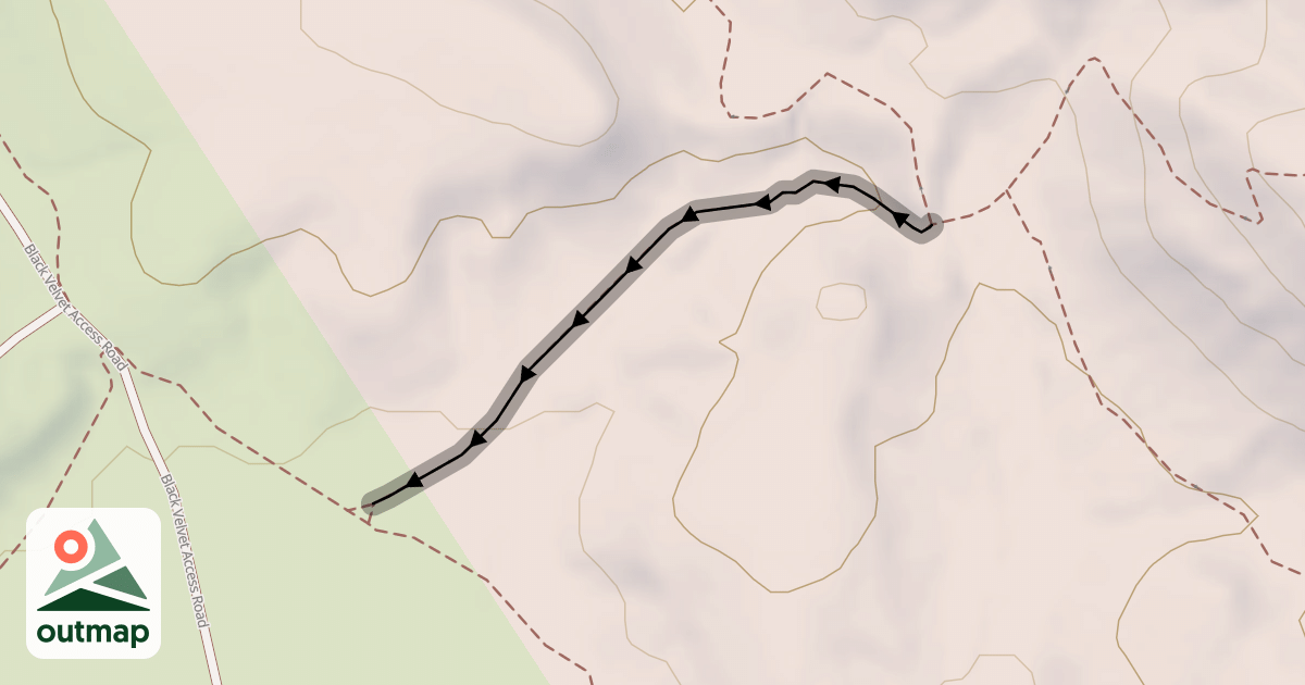 Map of Dave's Driveway