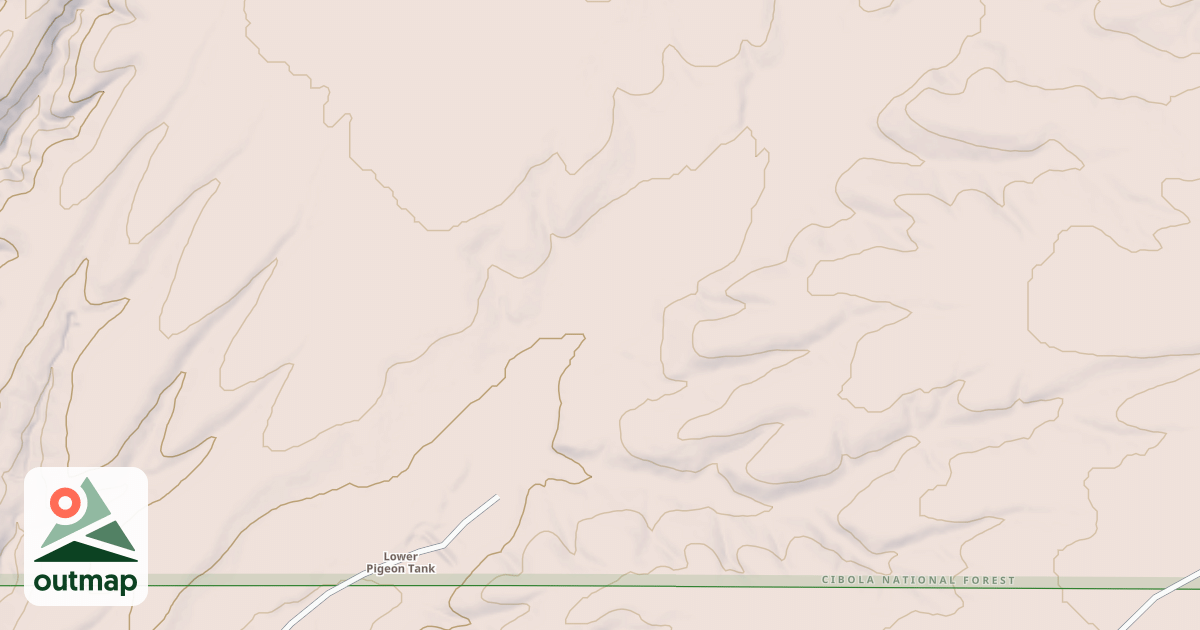 Map of USFS National Forest System Roads {727EE784-EE4E-4A9E-AF88-C6A8CA2F845C}