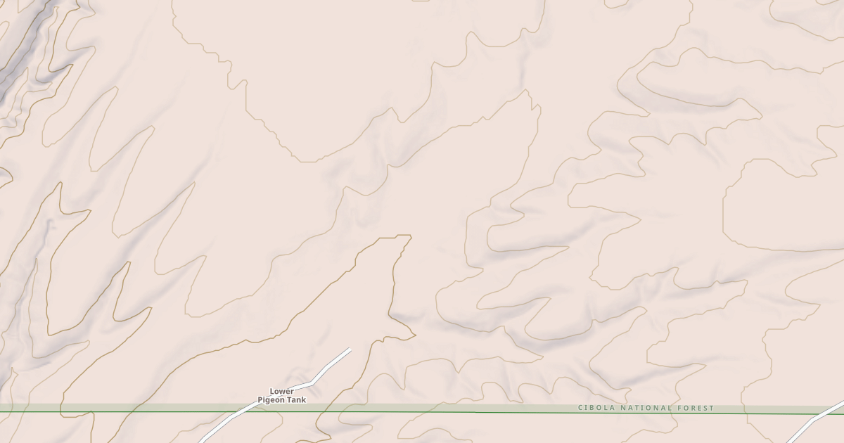 Map preview of USFS National Forest System Roads {727EE784-EE4E-4A9E-AF88-C6A8CA2F845C}