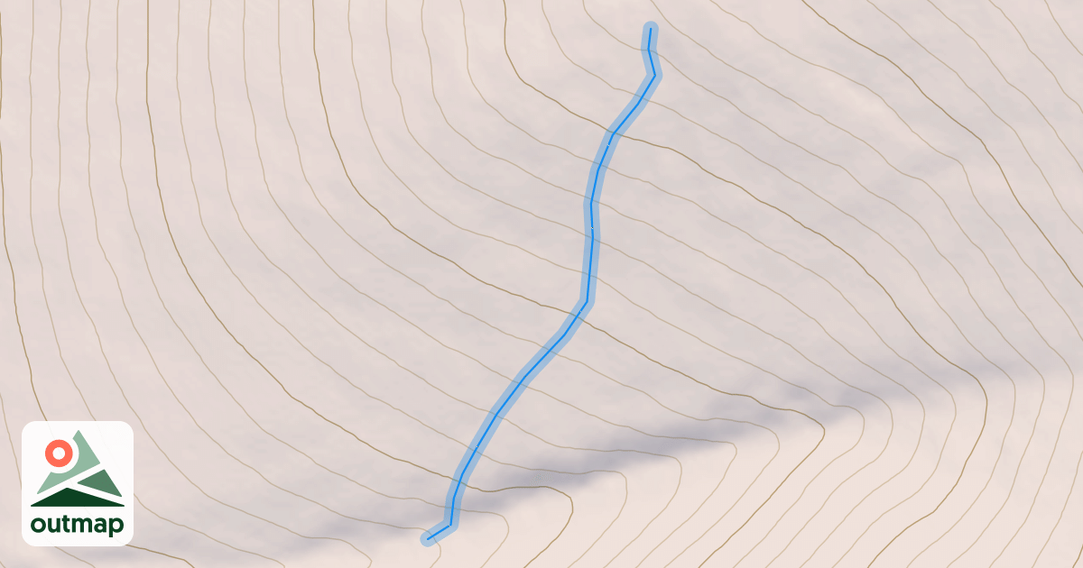 Map of Baby Bear