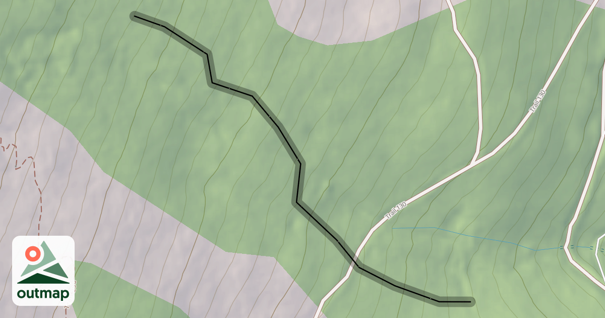 Map of Roller Coaster