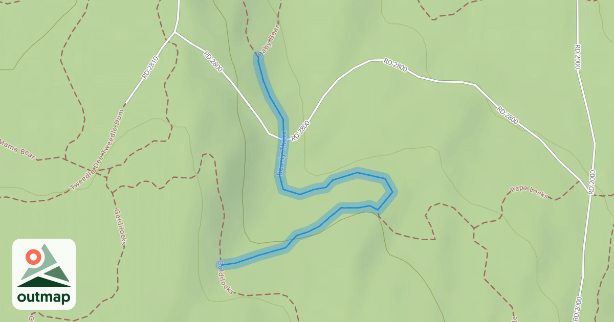 Map of Bearly There