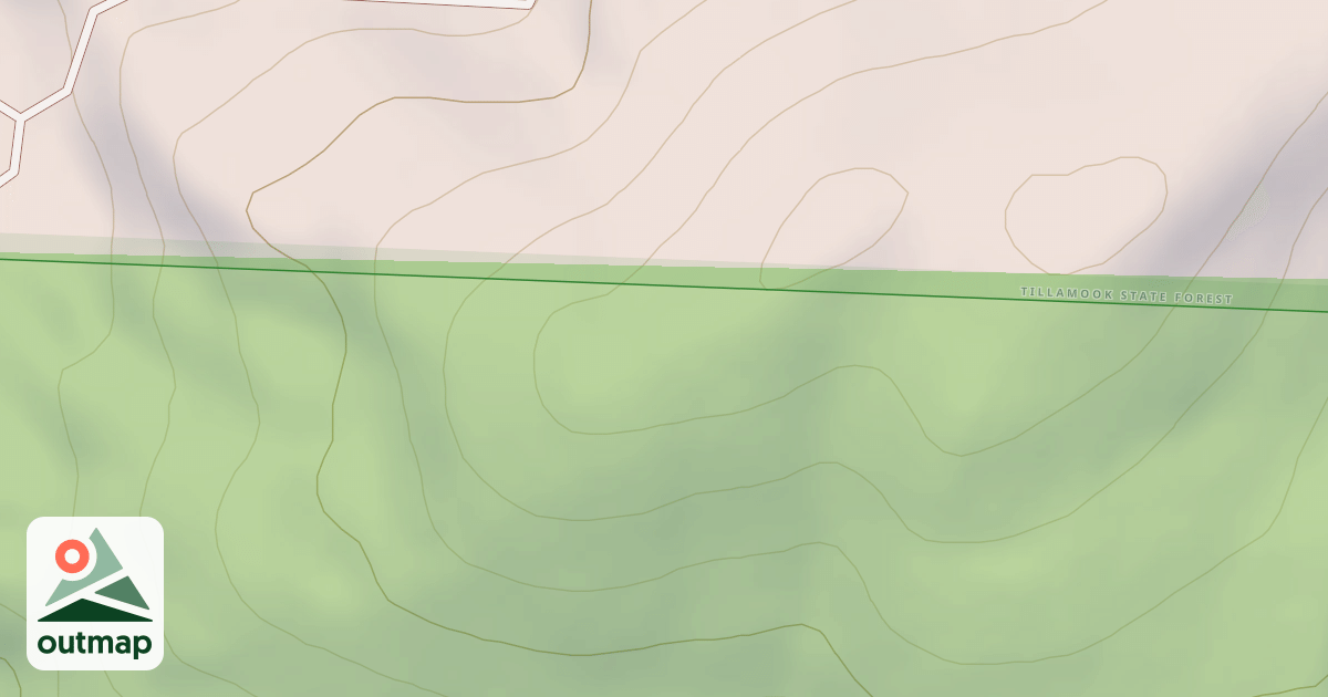 Map of Mutant Ferns