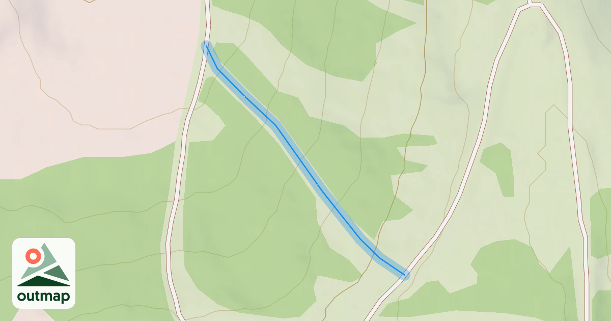 Map of Walt's