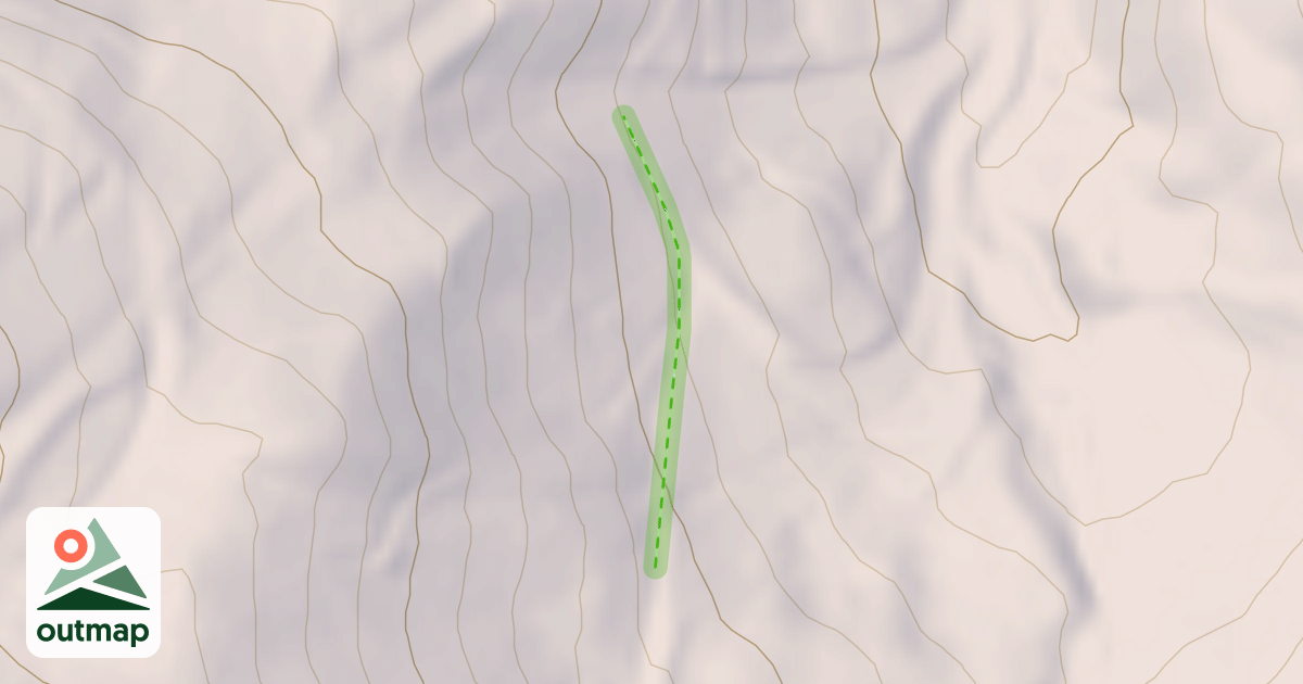 Map of Dog Catcher