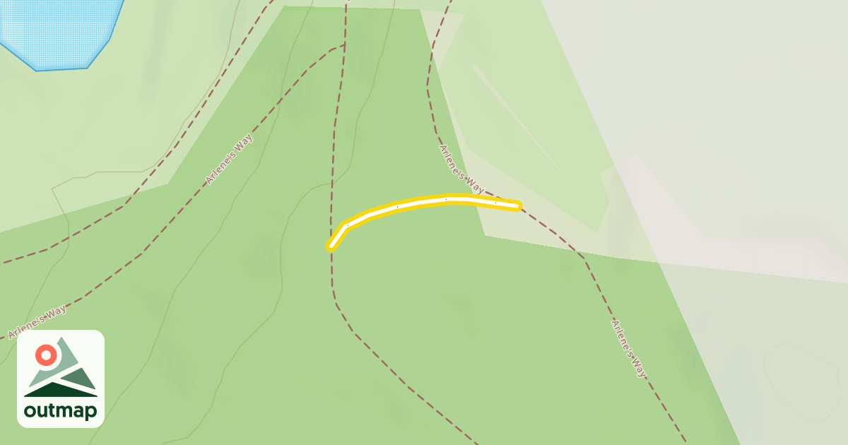 Map of Arlene's Way