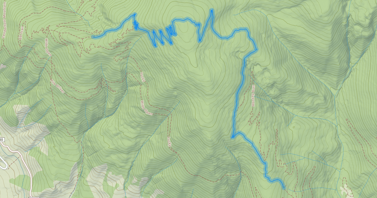 Map preview of Tenderfoot Mountain