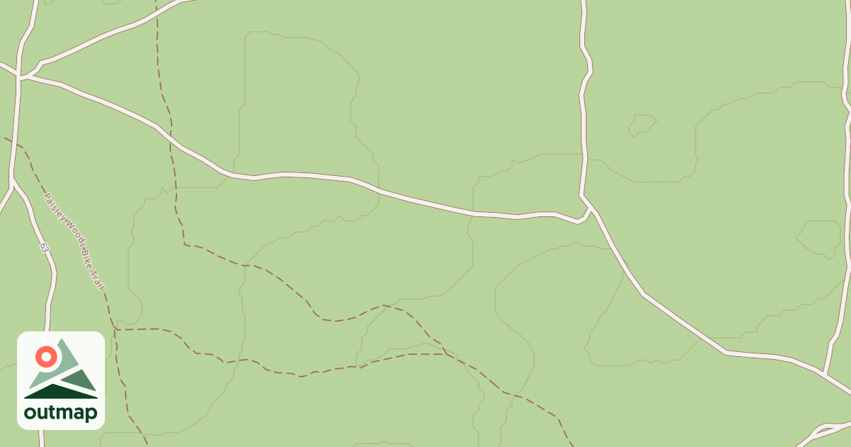 Map of USFS National Forest System Roads {5327D2FF-858C-435B-8D72-37DFD42E1377} in Lake