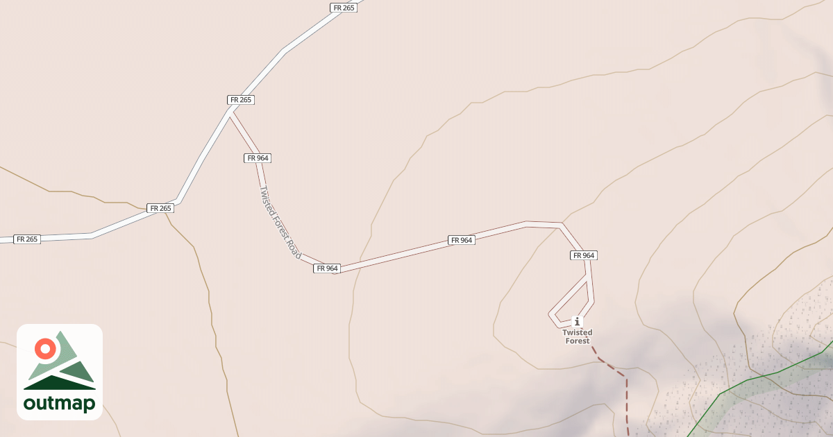 Map of TWISTED FOREST