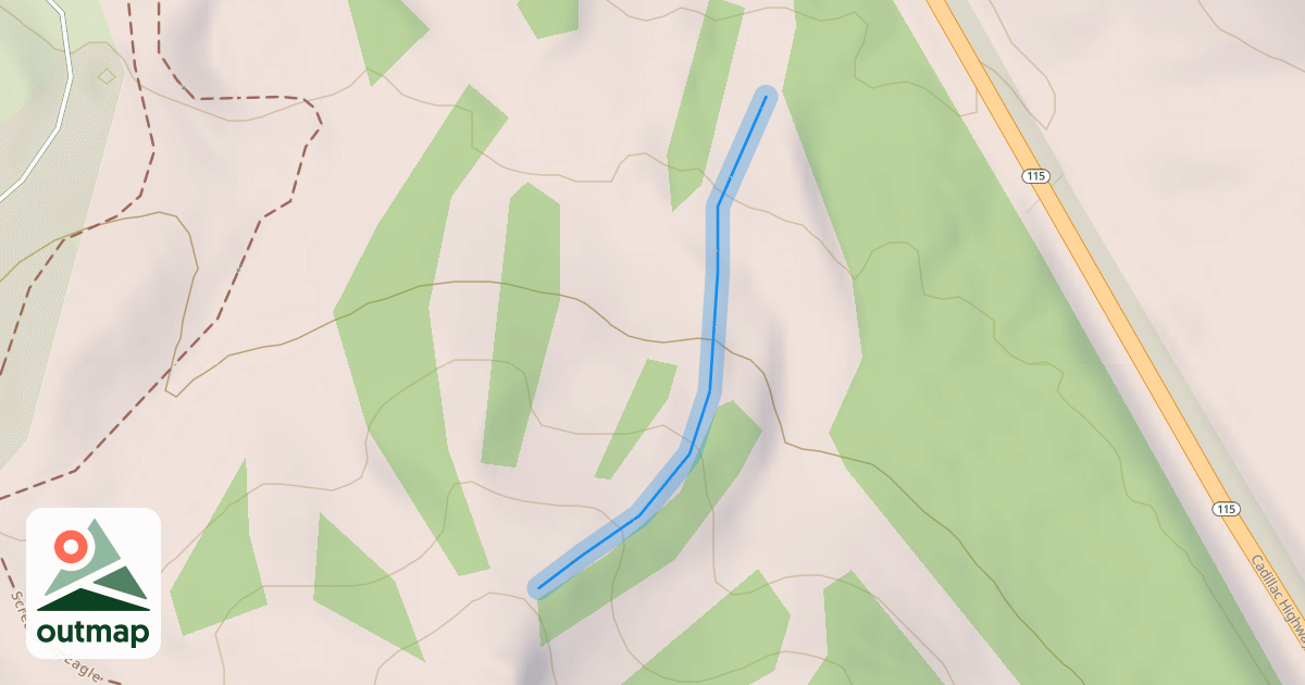 Map of Rotary Run