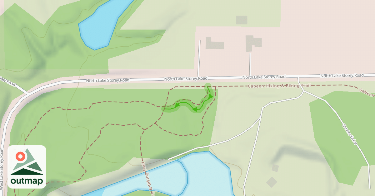 Map of Shake'n Through